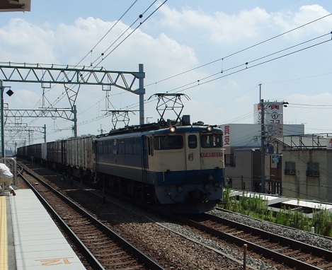 CIMG1123_50.jpg