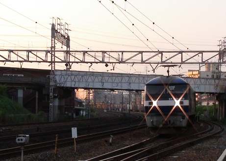 DSC00385_35.jpg