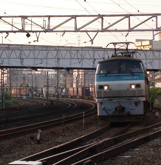 DSC00388_50.jpg
