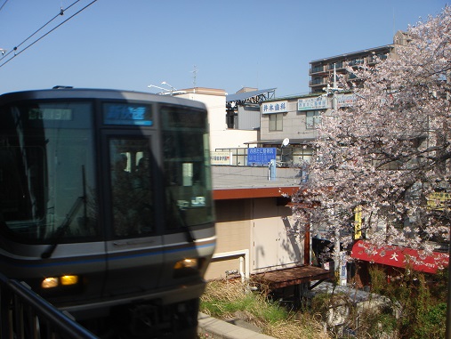 DSC02162.JPG
