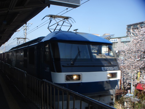 DSC02163.JPG