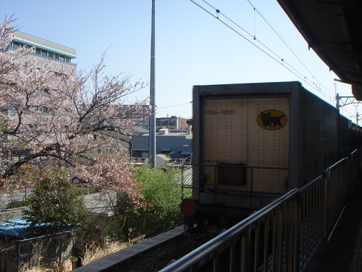 DSC02164.JPG