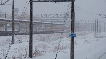 DSC_0211_resize_20140208_130026.jpg