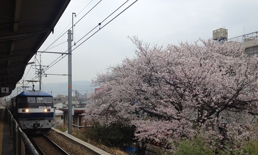 写真.JPG