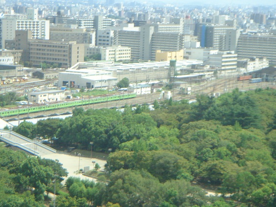 DSC08936_20.jpg